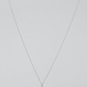 Tiffany & Co. Platinum and Diamond Elsa Peretti Teardrop Pendant Necklace